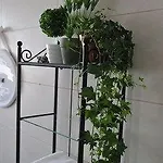 Al Parco Giardini Margherita 4*