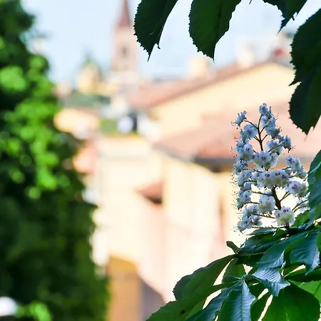 Al Parco Giardini Margherita Отель типа 