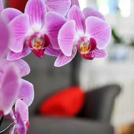 Al Parco Giardini Margherita Bed & Breakfast 4*