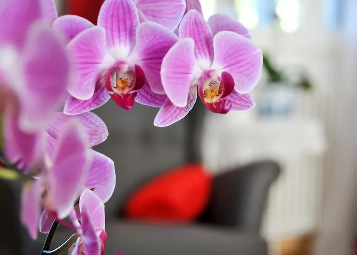 Al Parco Giardini Margherita B&B 4*