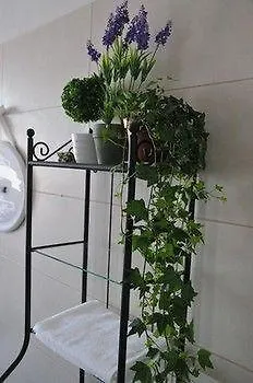 Al Parco Giardini Margherita 4*